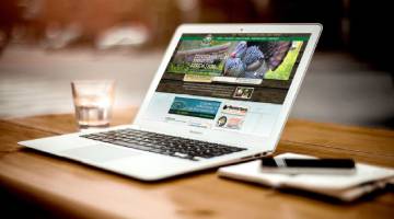 Profesyonel Web Tasarımı